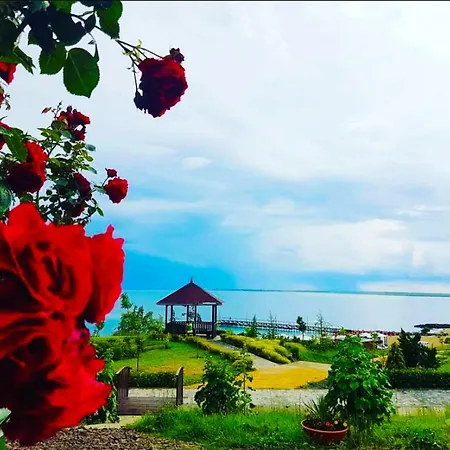 Комплекс Оазис